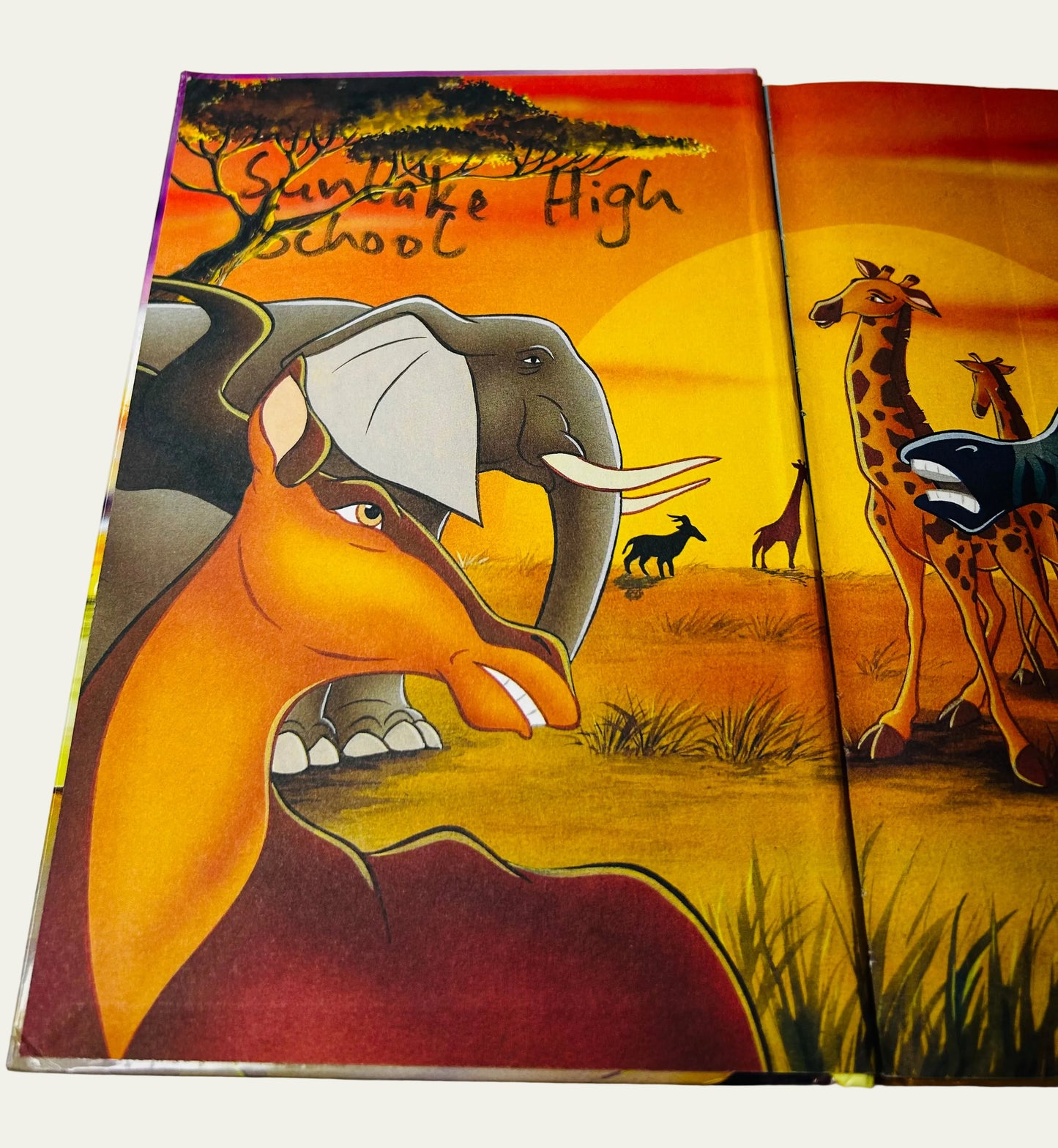 The Lion King (German edition, Der König der Löwen) book