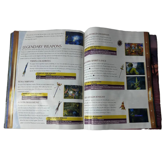 Final Fantasy X — Official Strategy Guide — BradyGames Signature Series — Dan Birlew (2001)