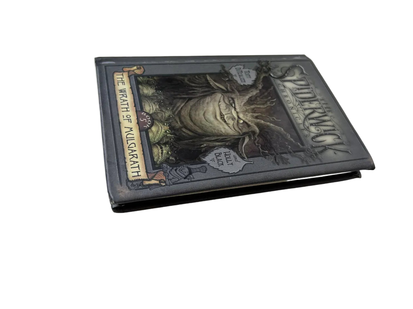 The Spiderwick Chronicles: The Wrath of Mulgarath (Book 5 of 5) — Hardcover | DiTerlizzi & Black / Simon & Schuster (2004)