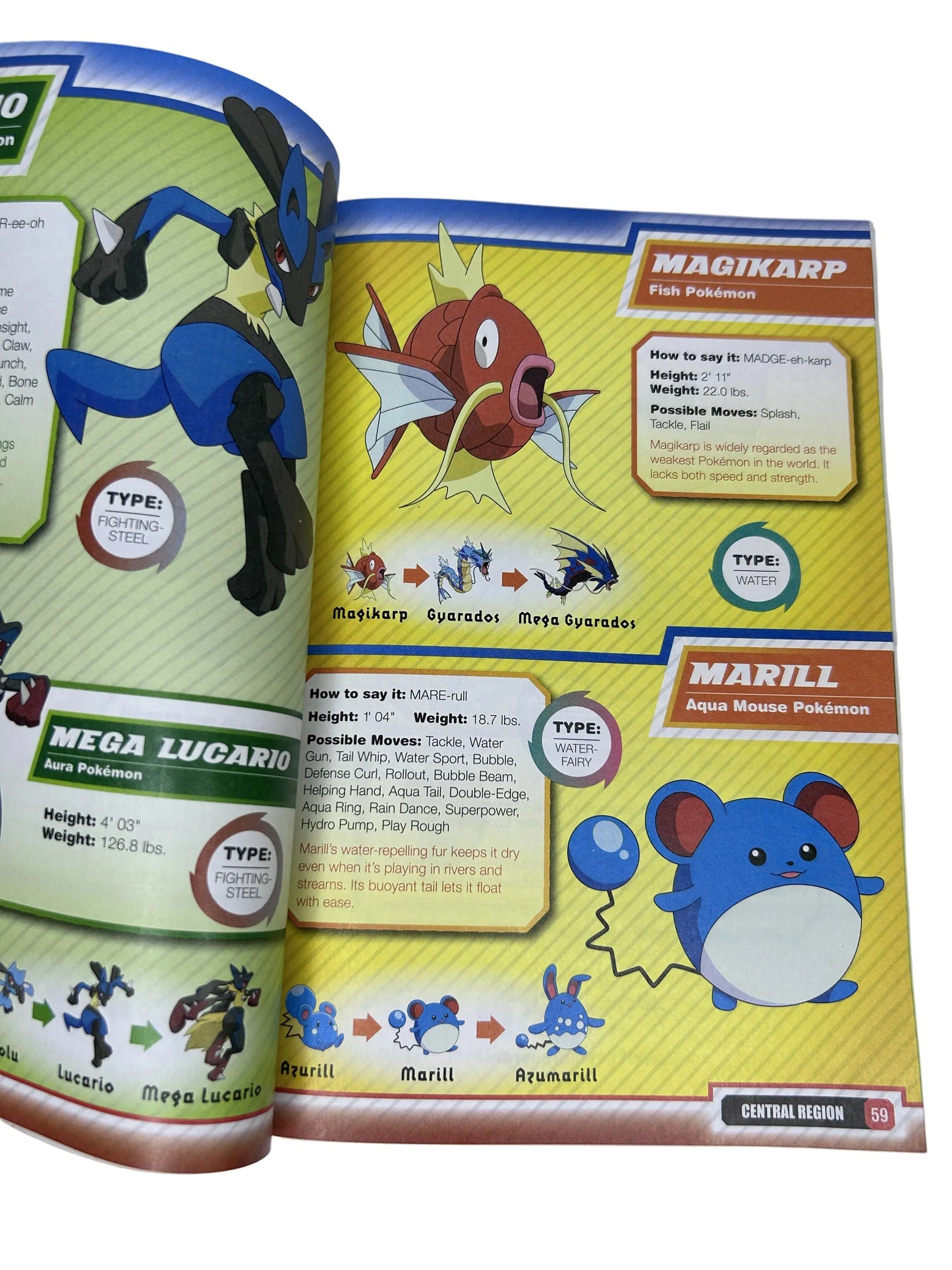 Pokémon Kalos Region Handbook — Paperback | Scholastic Inc. (2014) | Stats & Facts on Over 450 Pokémon