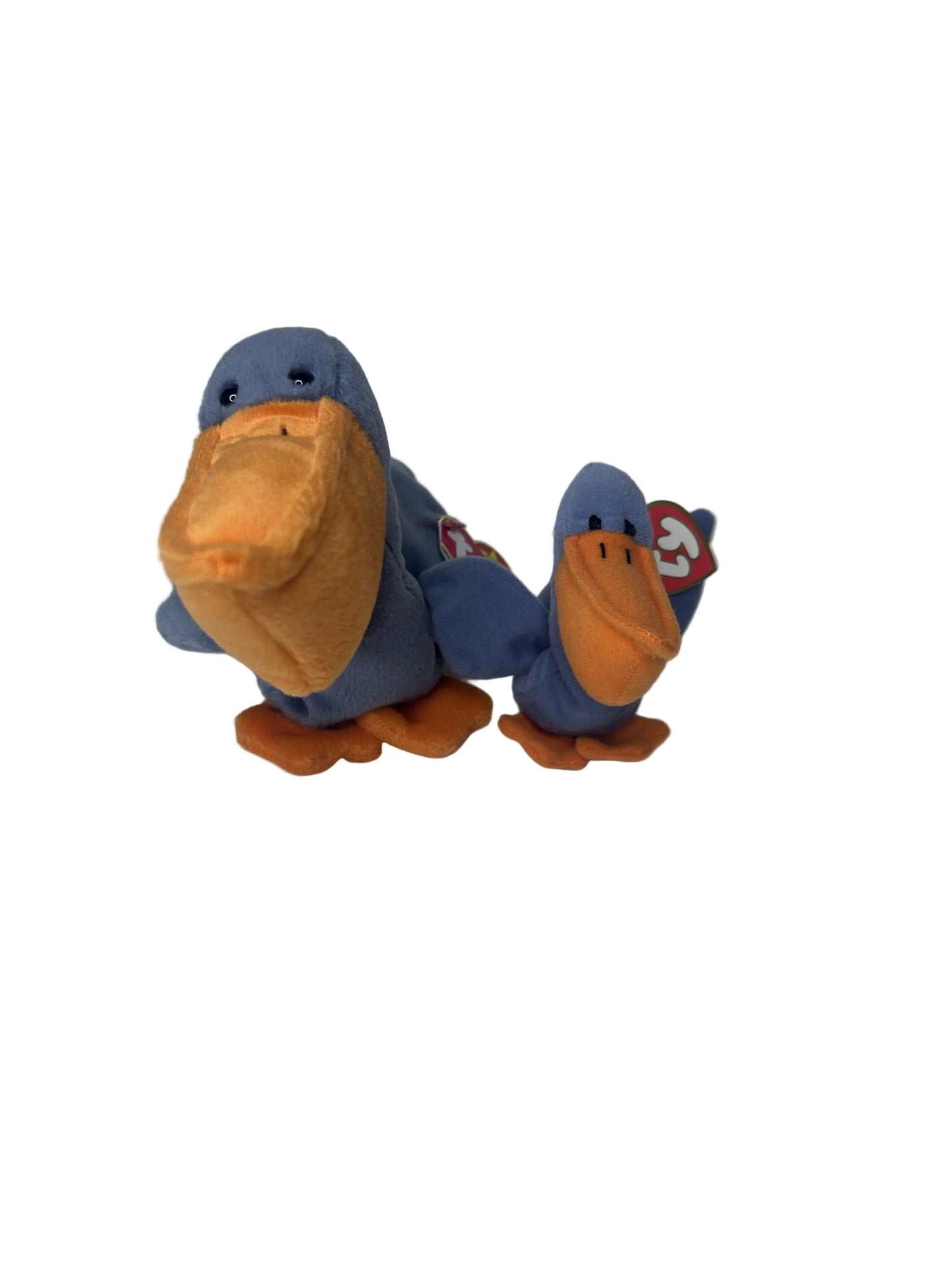 Ty Beanie Baby Bundle — Scoop the Pelican | 1996 Standard + 1998 Teenie | Both Tags Intact